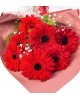 Kırmızı Gerbera Buketi
