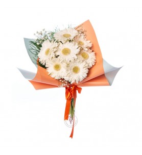 Beyaz Gerbera Buketi
