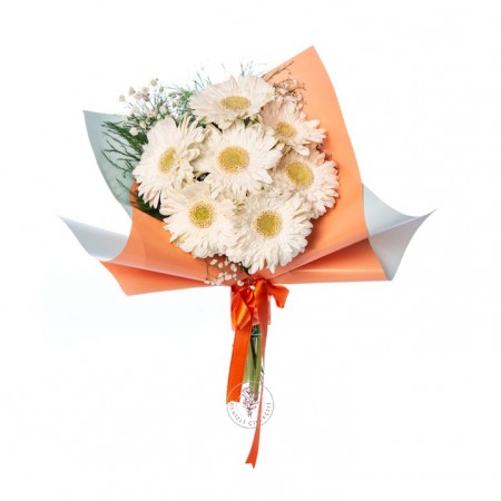 Beyaz Gerbera Buketi
