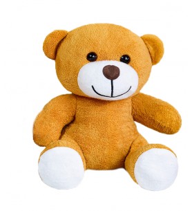 Peluş Ayı Ted    " 30 cm "