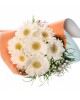Beyaz Gerbera Buketi