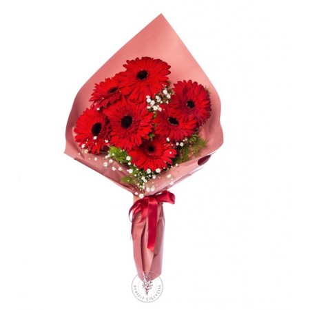 Kırmızı Gerbera Buketi