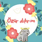 Özür Dilerim